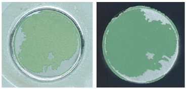 Coatings 13 01054 i020