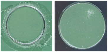 Coatings 13 01054 i021