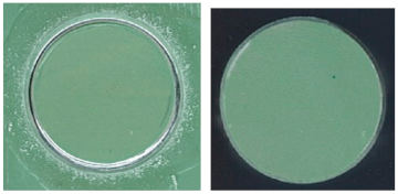 Coatings 13 01054 i022