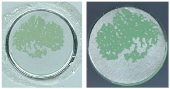 Coatings 13 01054 i027