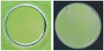 Coatings 13 01054 i030