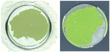 Coatings 13 01054 i031