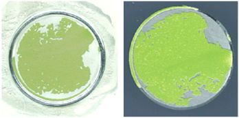 Coatings 13 01054 i032