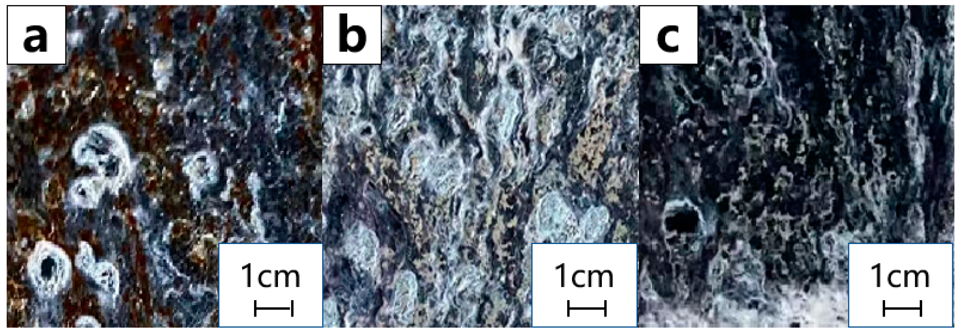 Coatings 13 01057 g007