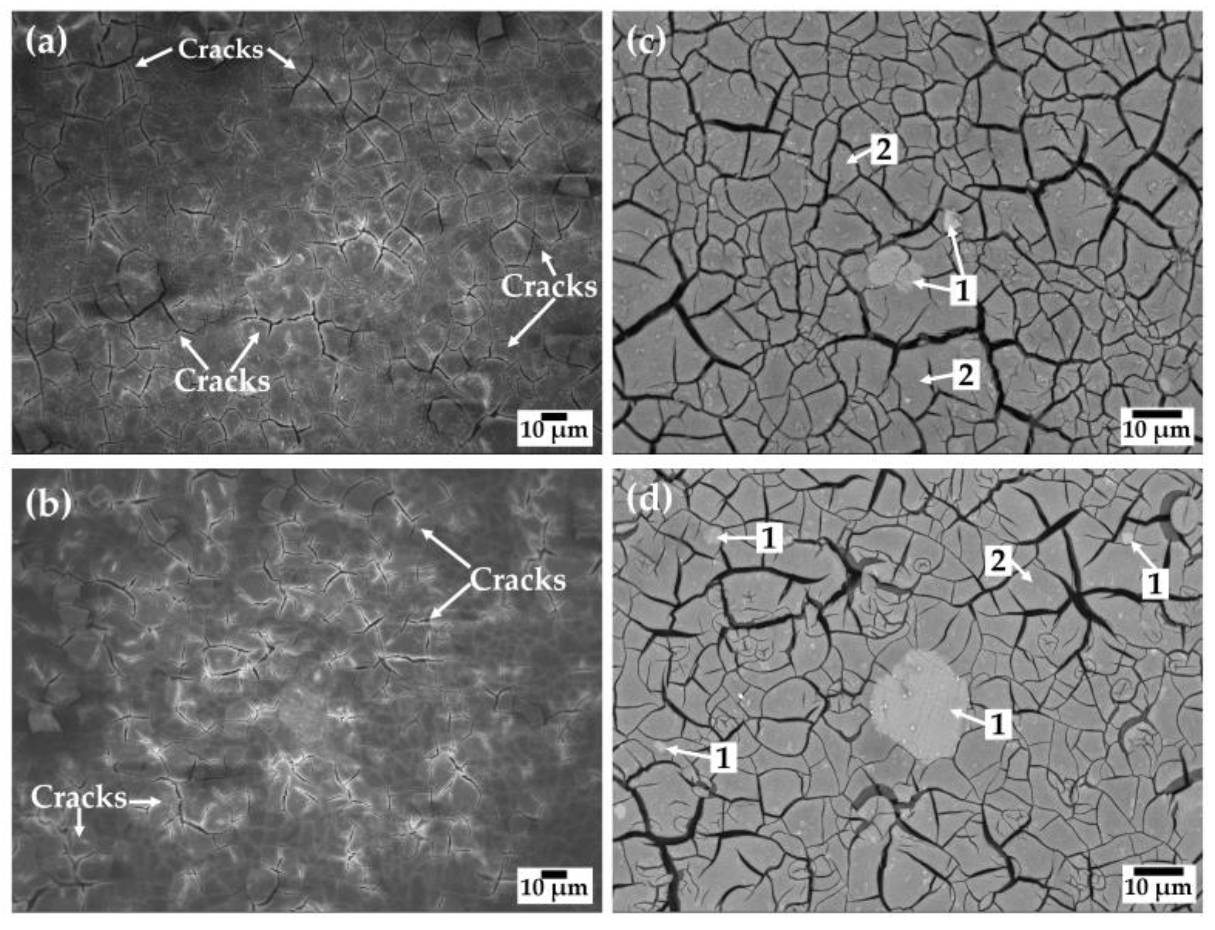 Coatings 13 01059 g010 Coatings 13 01059 g010