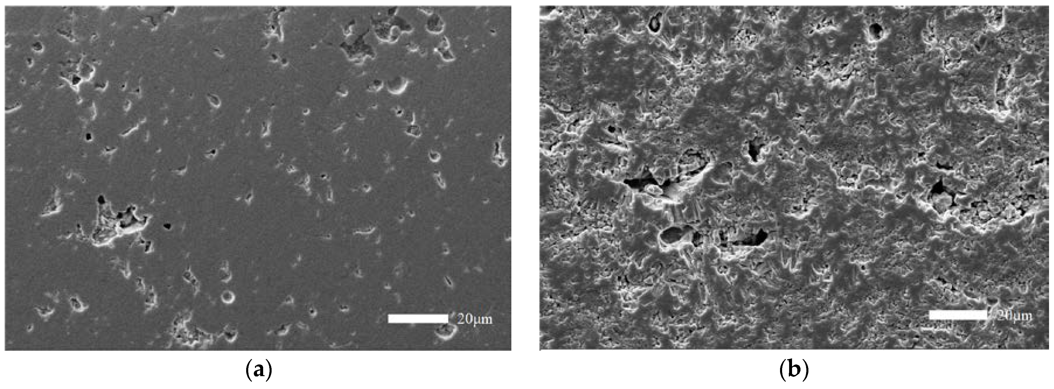 Coatings 13 01060 g002