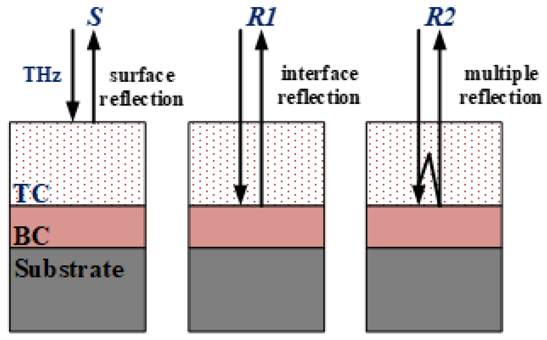 Coatings 13 01060 g003
