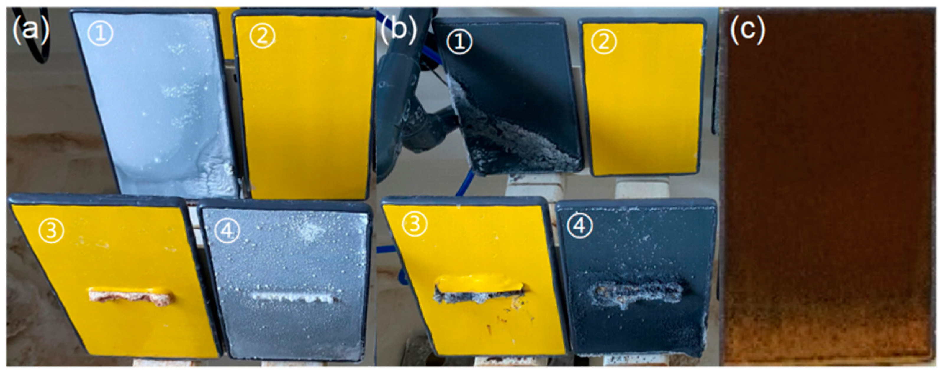 Coatings 13 01063 g004