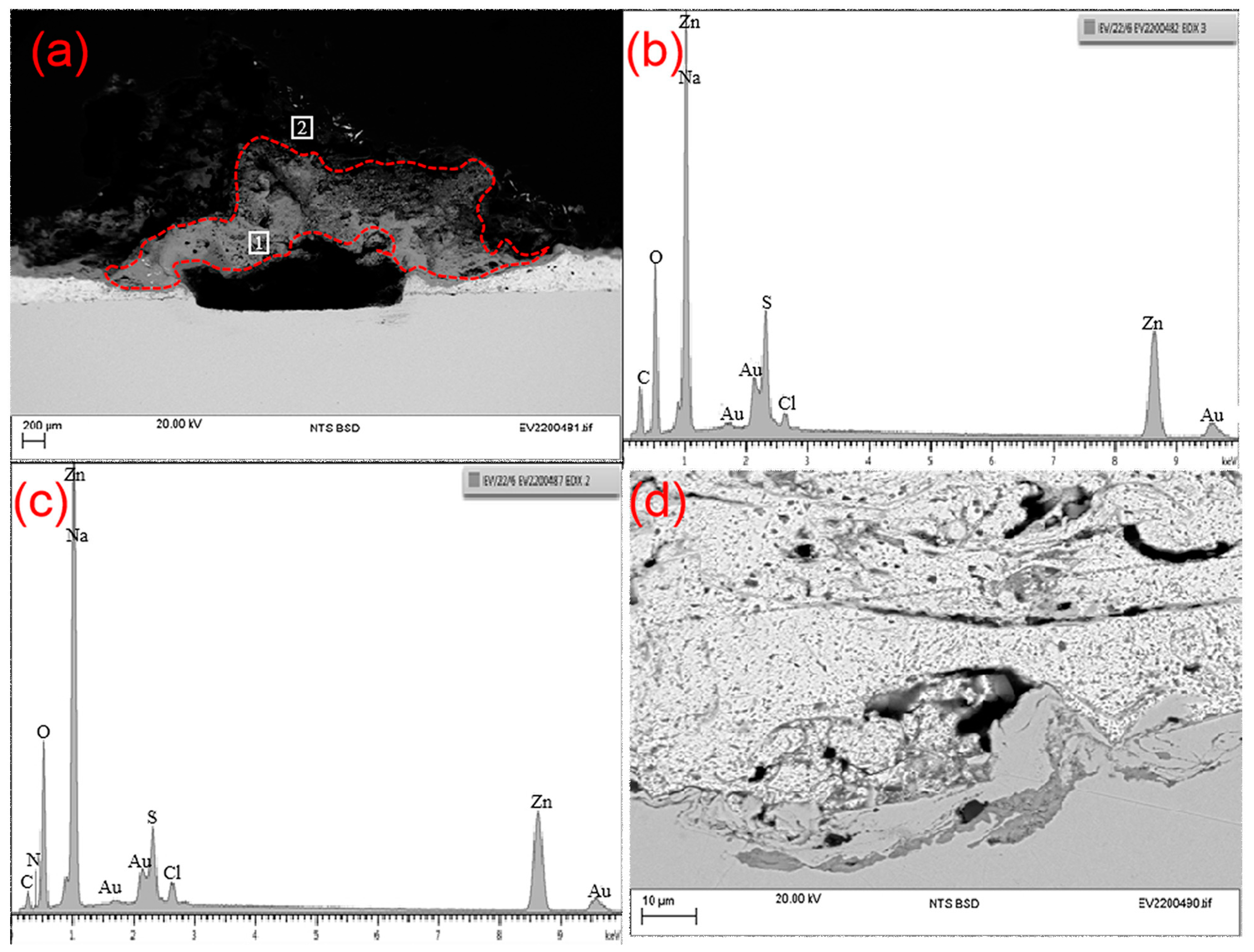 Coatings 13 01063 g005