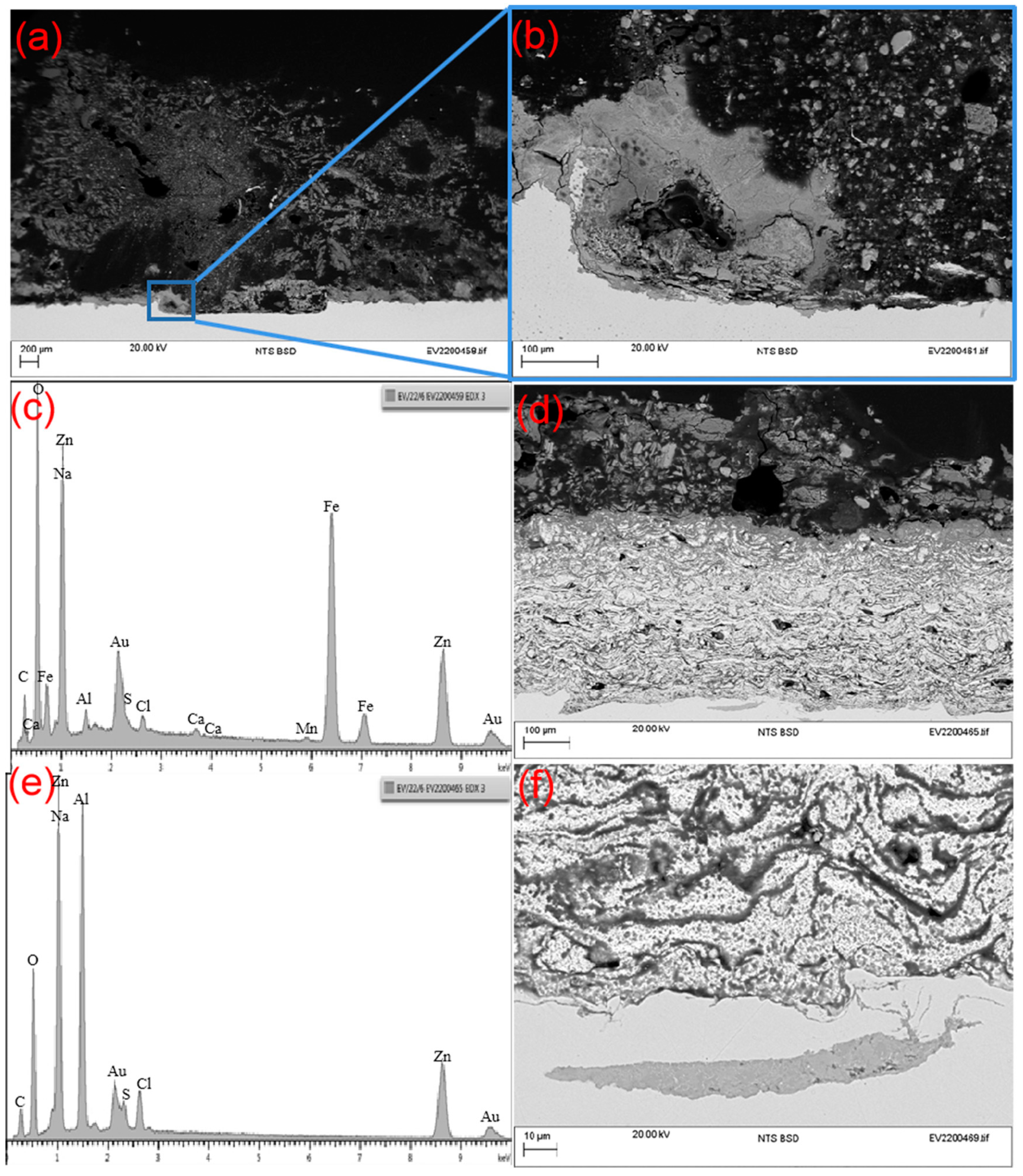 Coatings 13 01063 g007