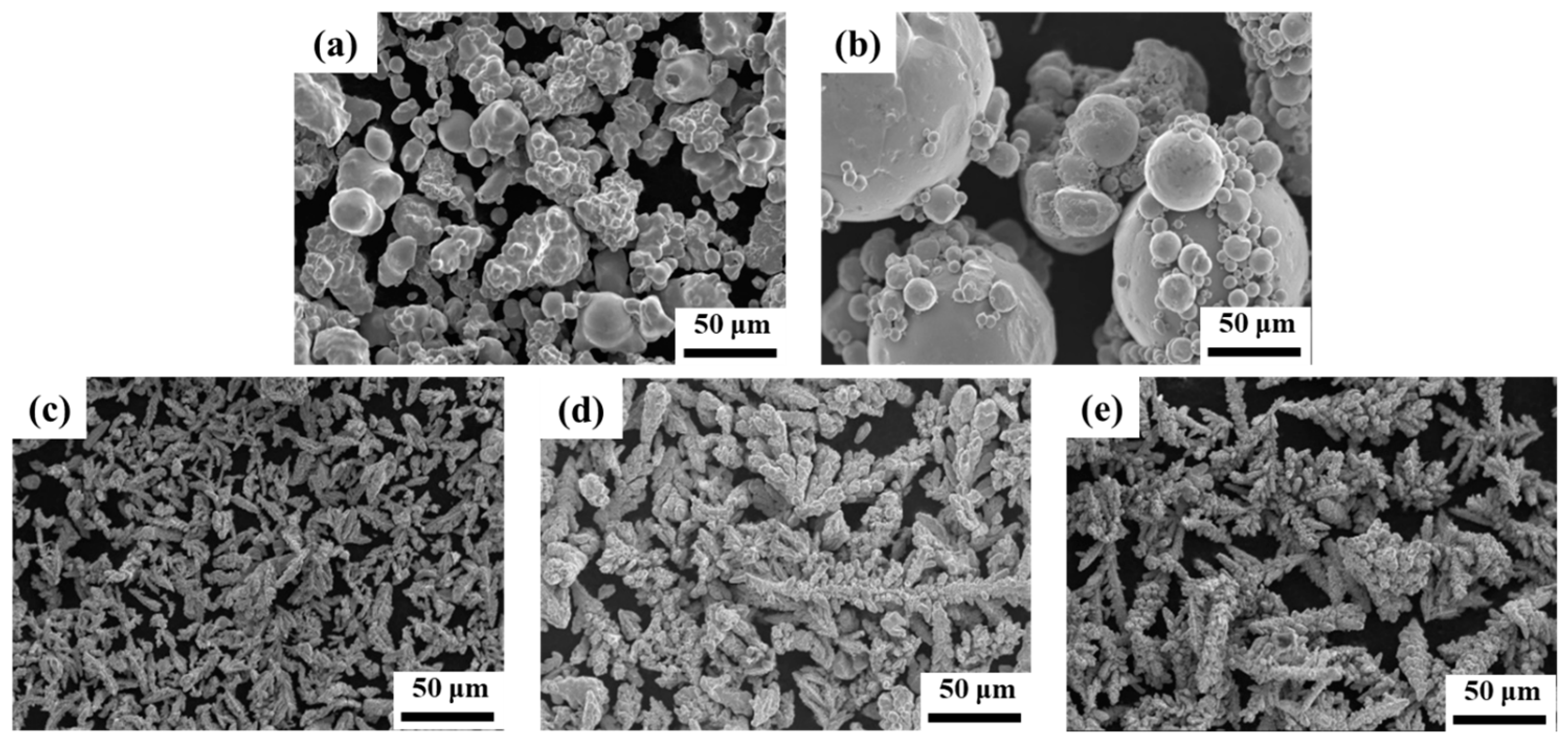 Coatings 13 01065 g001
