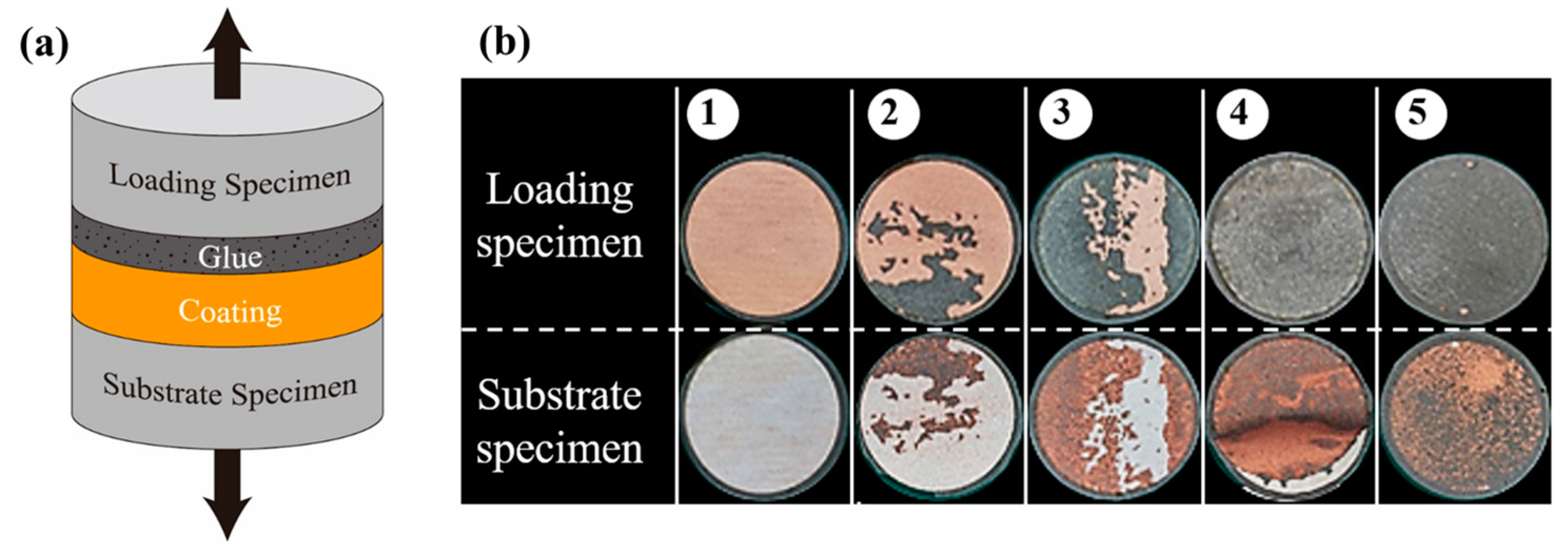 Coatings 13 01065 g004