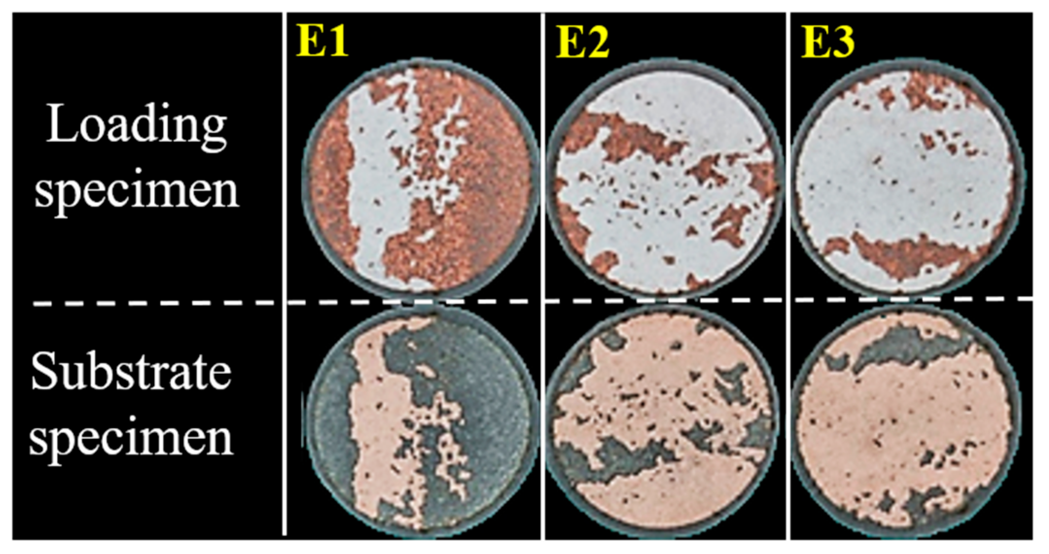 Coatings 13 01065 g006