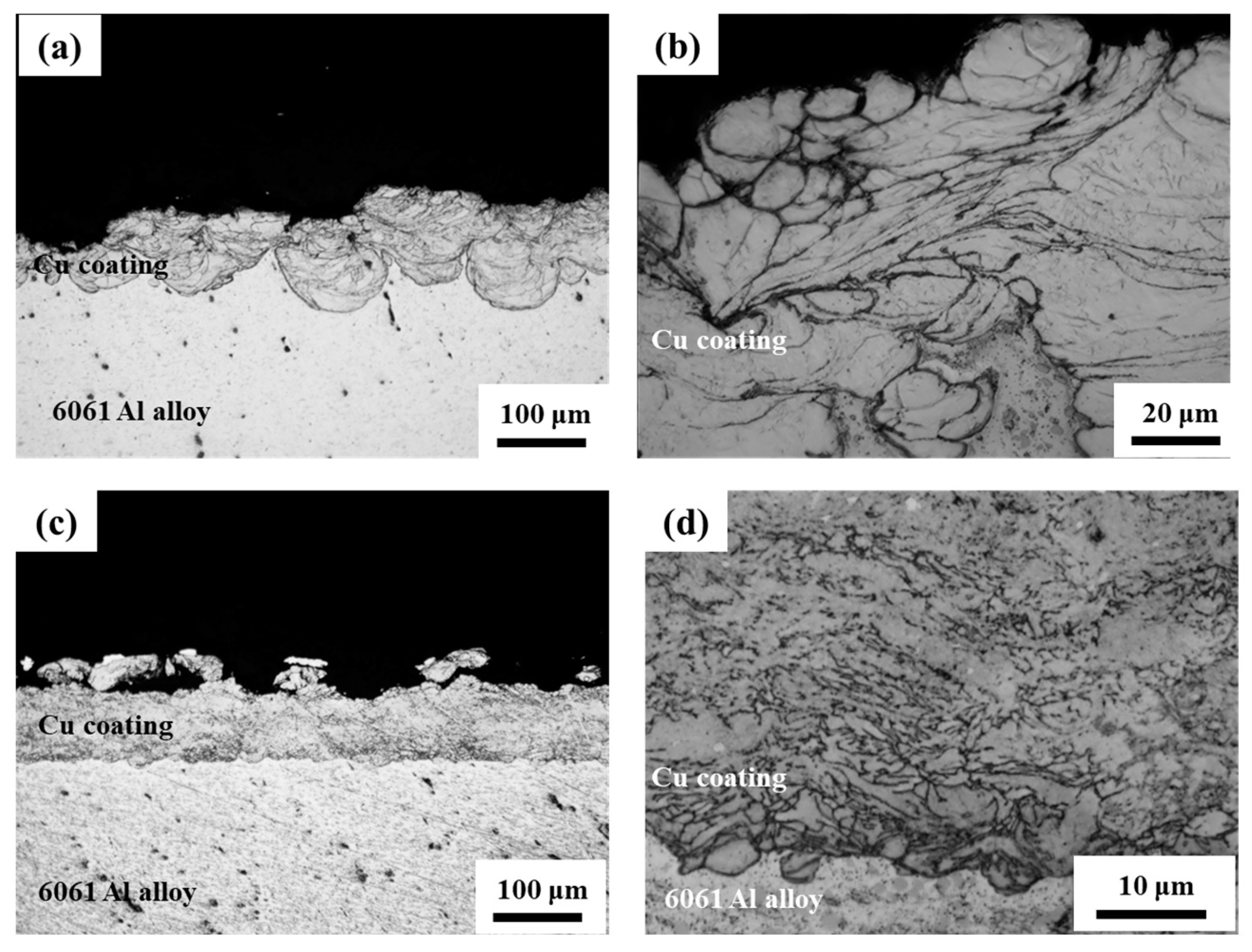 Coatings 13 01065 g007