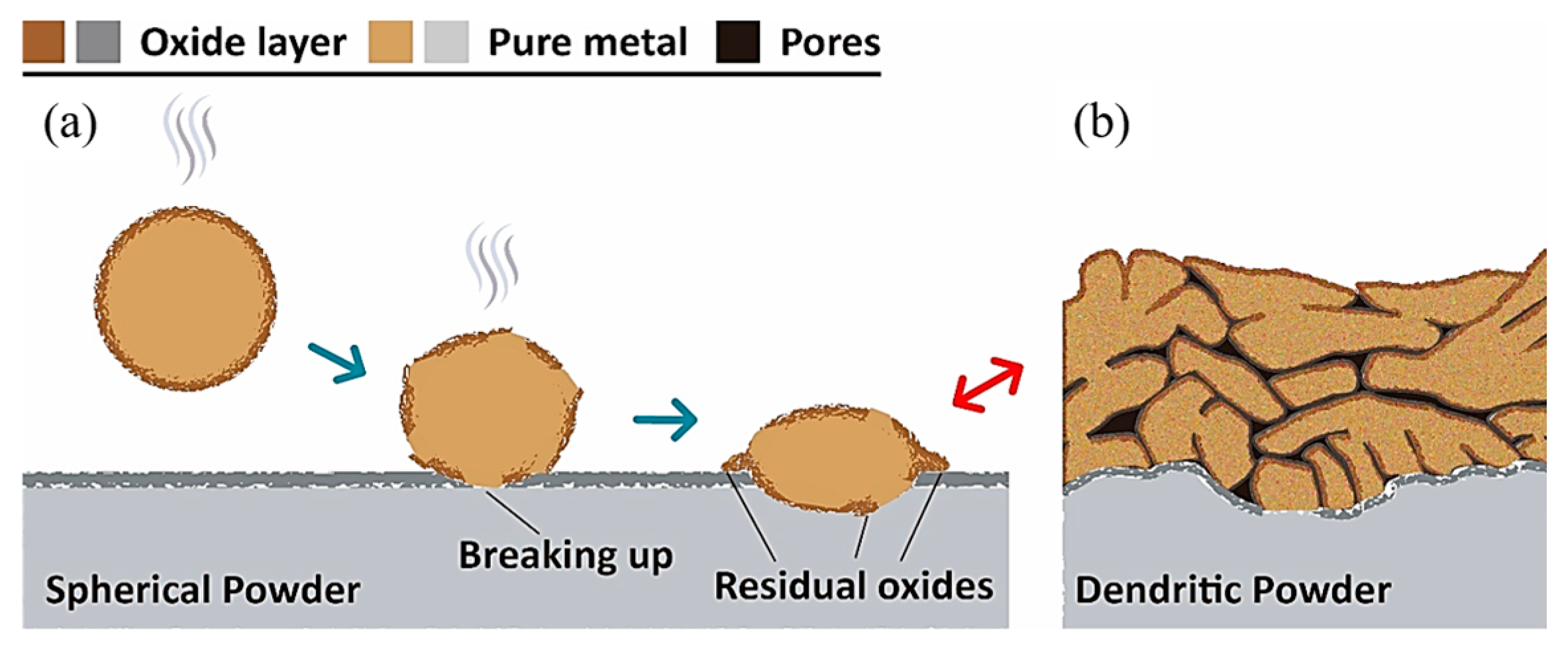Coatings 13 01065 g009