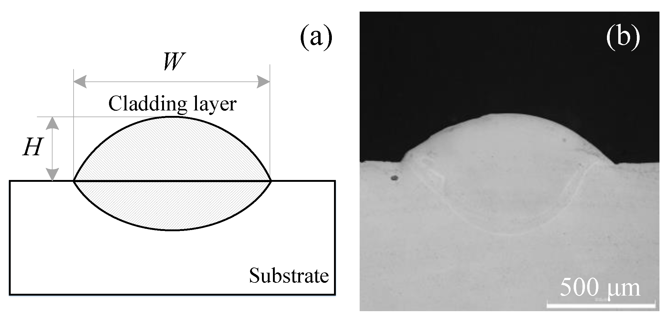 Coatings 13 01066 g002 Coatings 13 01066 g002