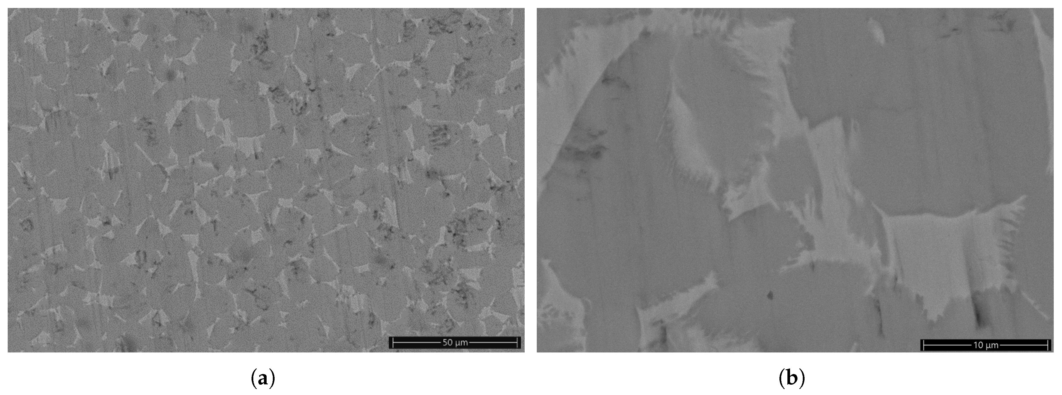 Coatings 13 01067 g009