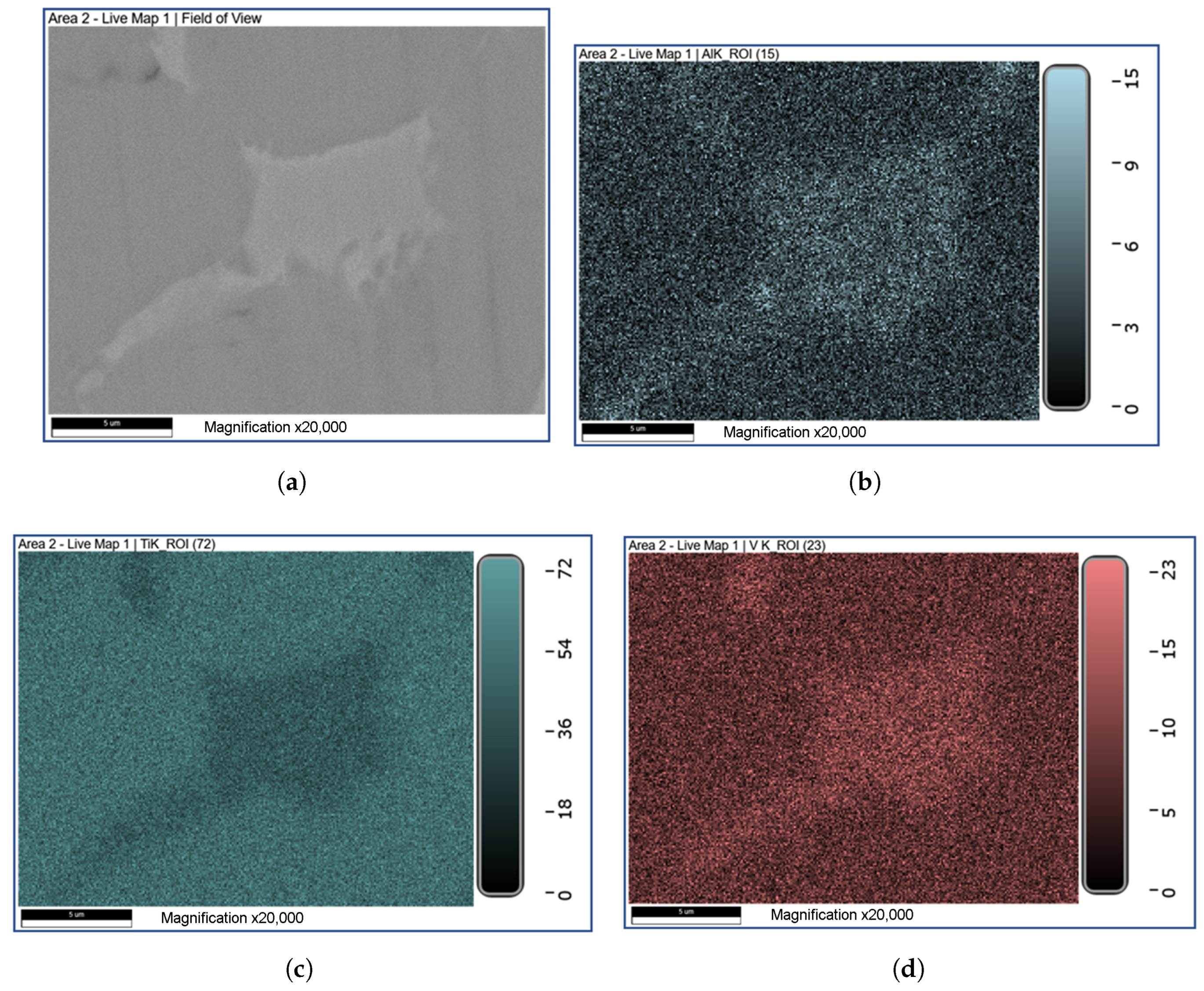 Coatings 13 01067 g010