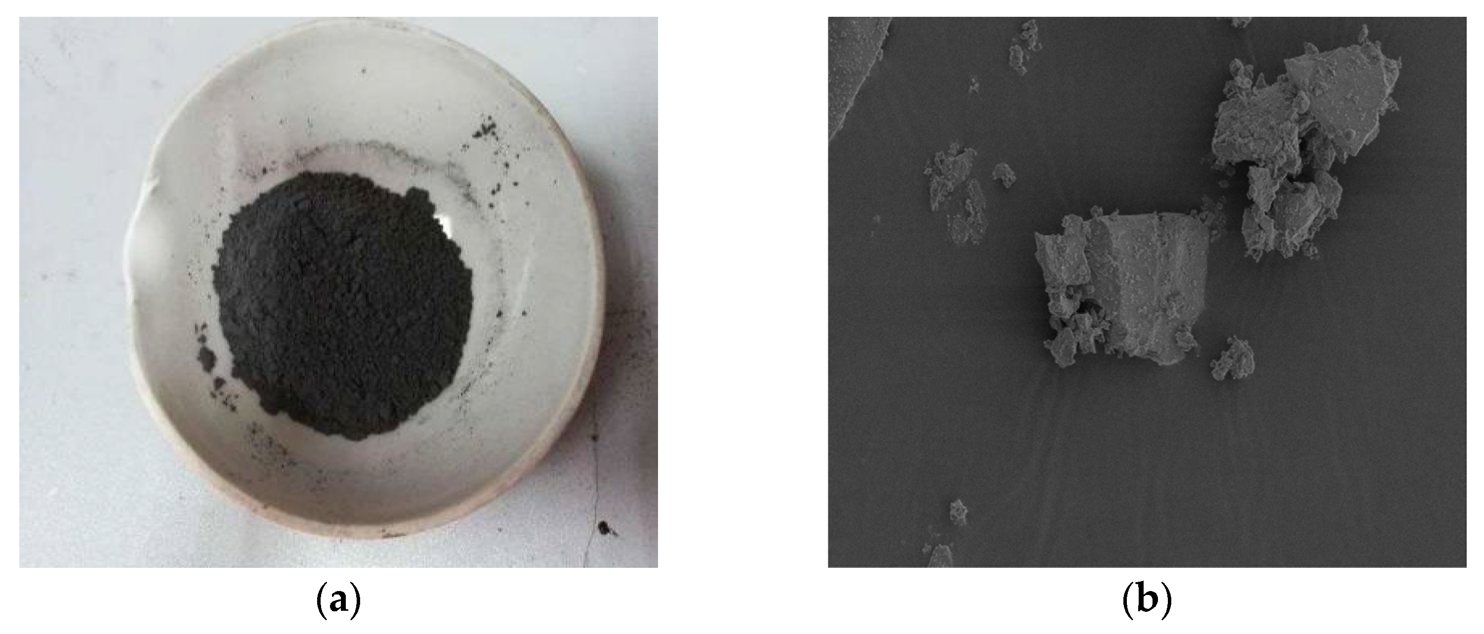 Coatings 13 01068 g002