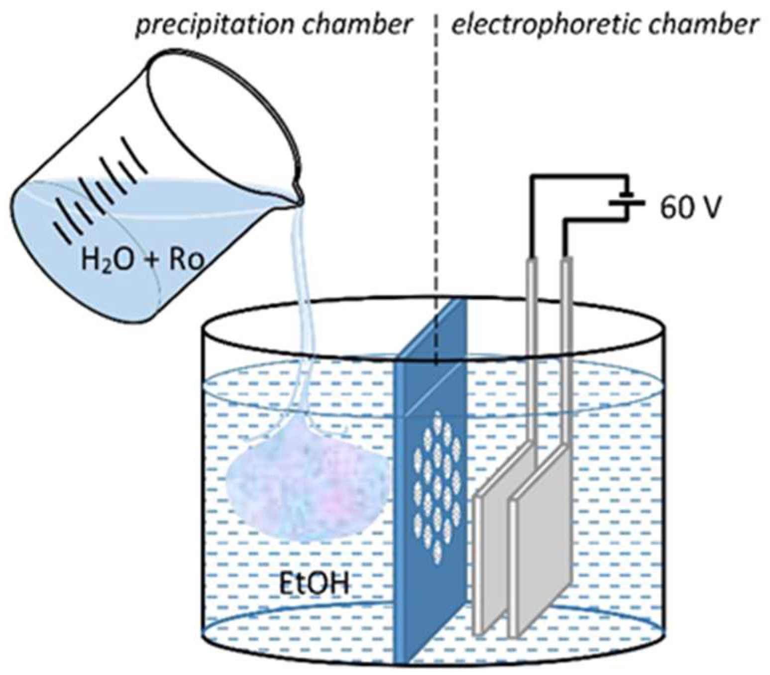 Coatings 13 01074 g001