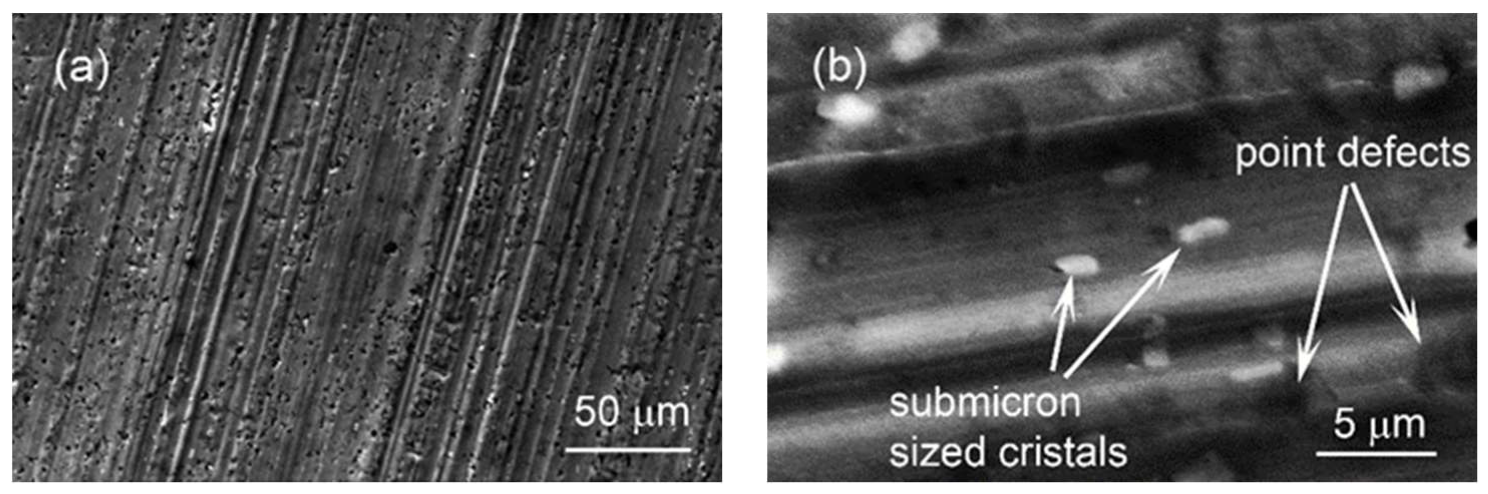 Coatings 13 01074 g006