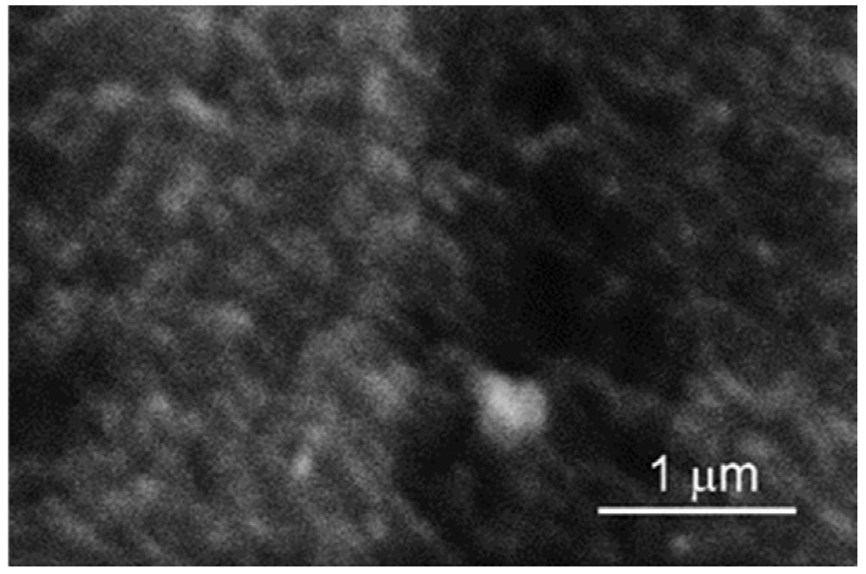 Coatings 13 01074 g007