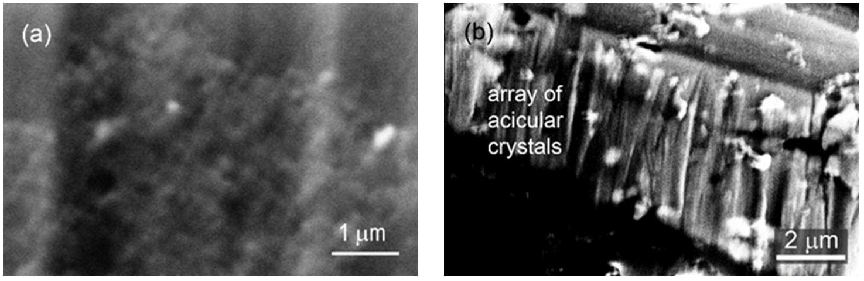 Coatings 13 01074 g008