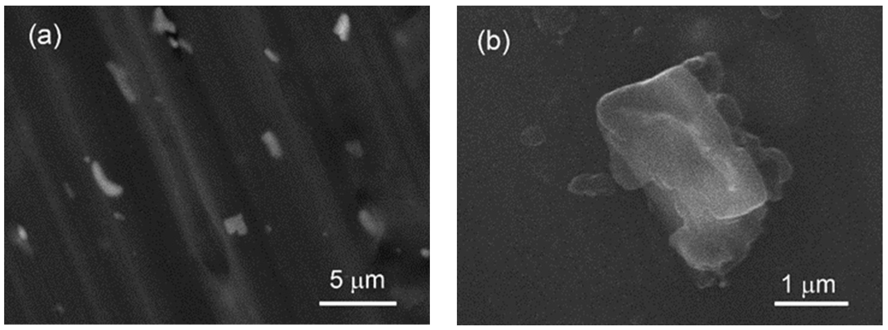 Coatings 13 01074 g009