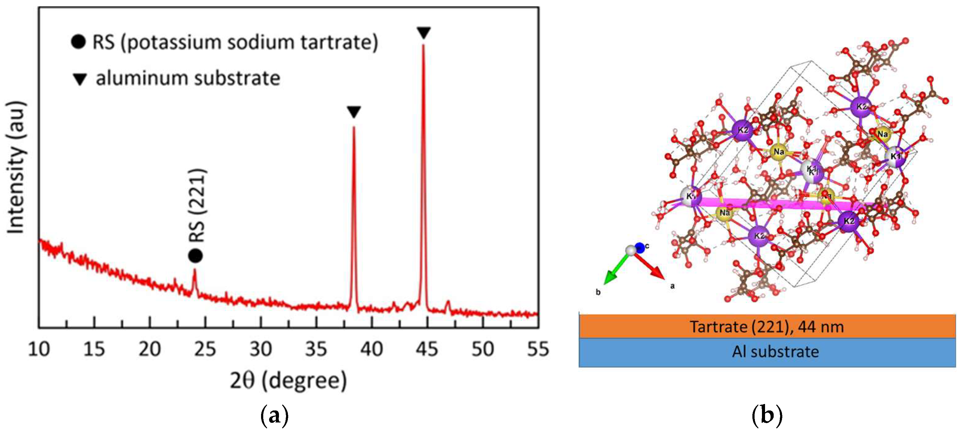 Coatings 13 01074 g010