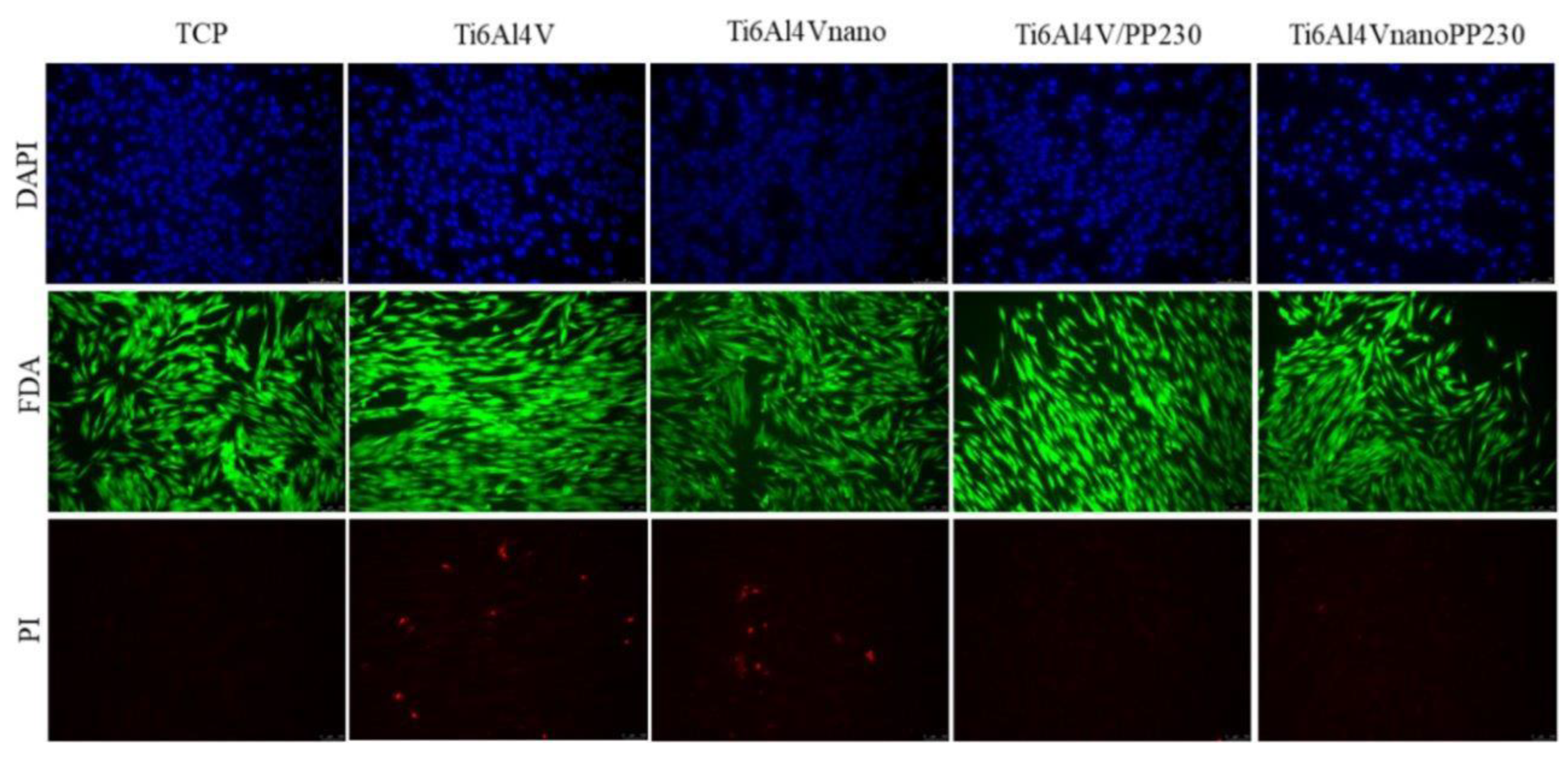 Coatings 13 01075 g015