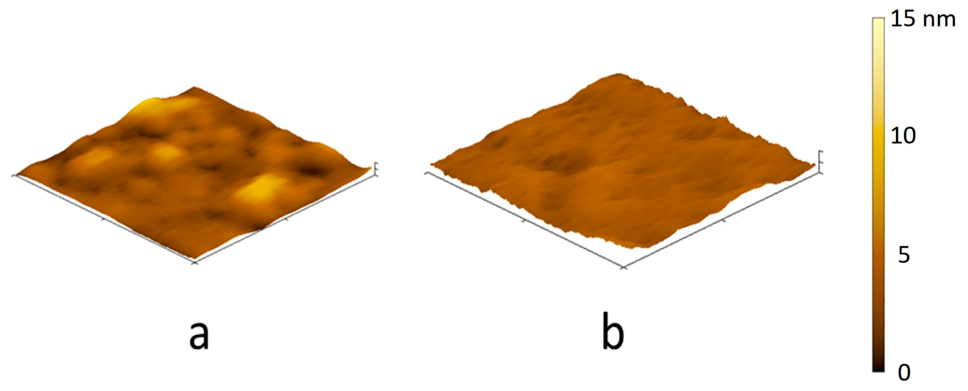 Coatings 13 01076 g006
