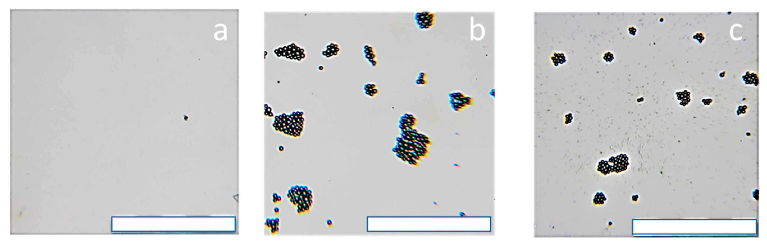Coatings 13 01076 g007