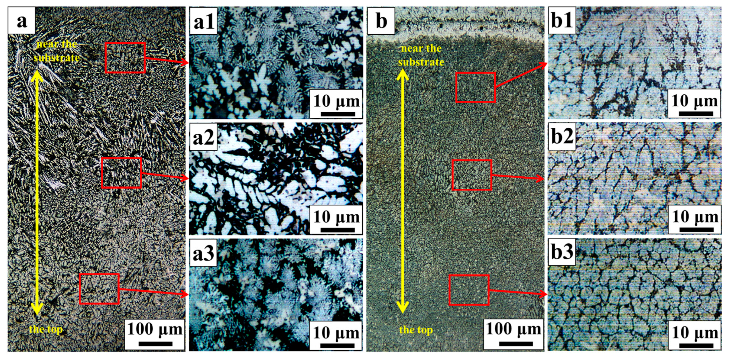 Coatings 13 01077 g004
