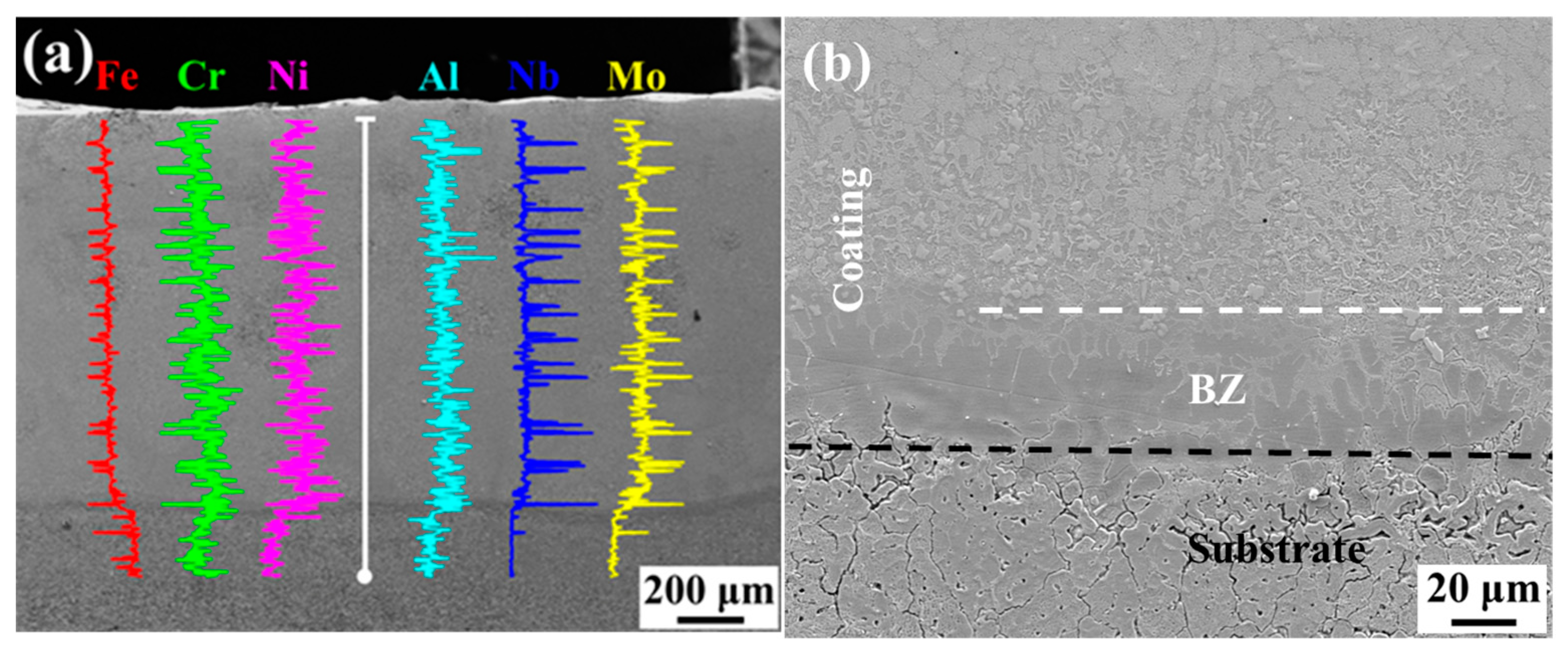 Coatings 13 01077 g006
