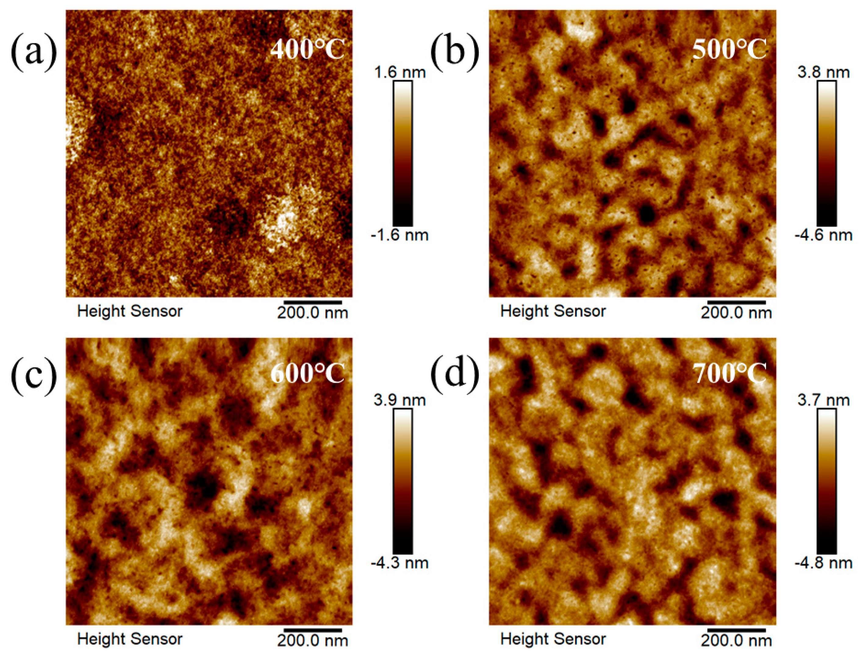 Coatings 13 01085 g004