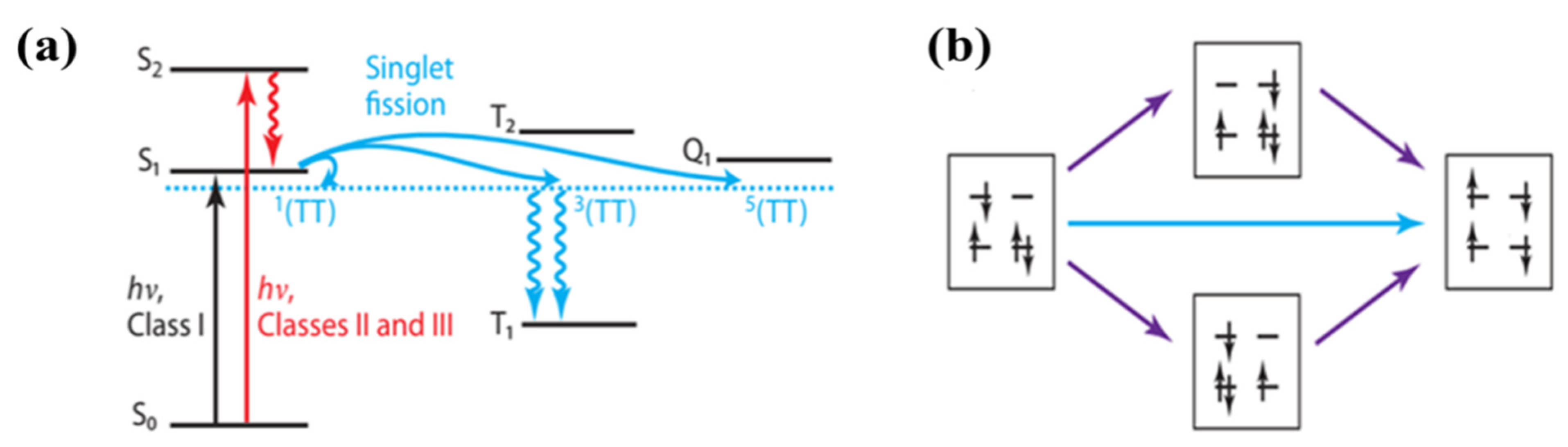 Coatings 13 01088 g006