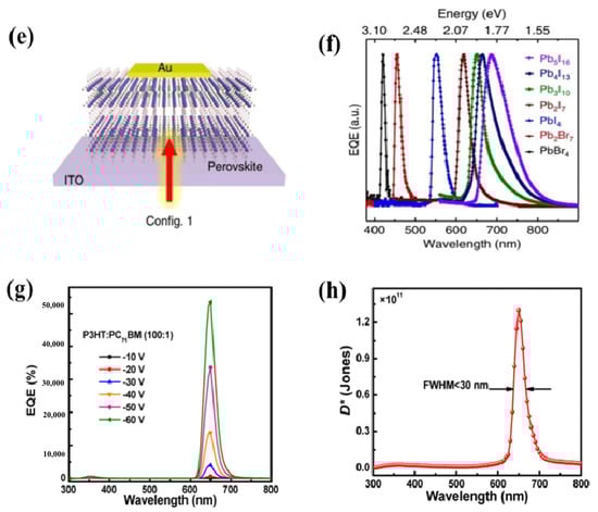 Coatings 13 01088 g011b