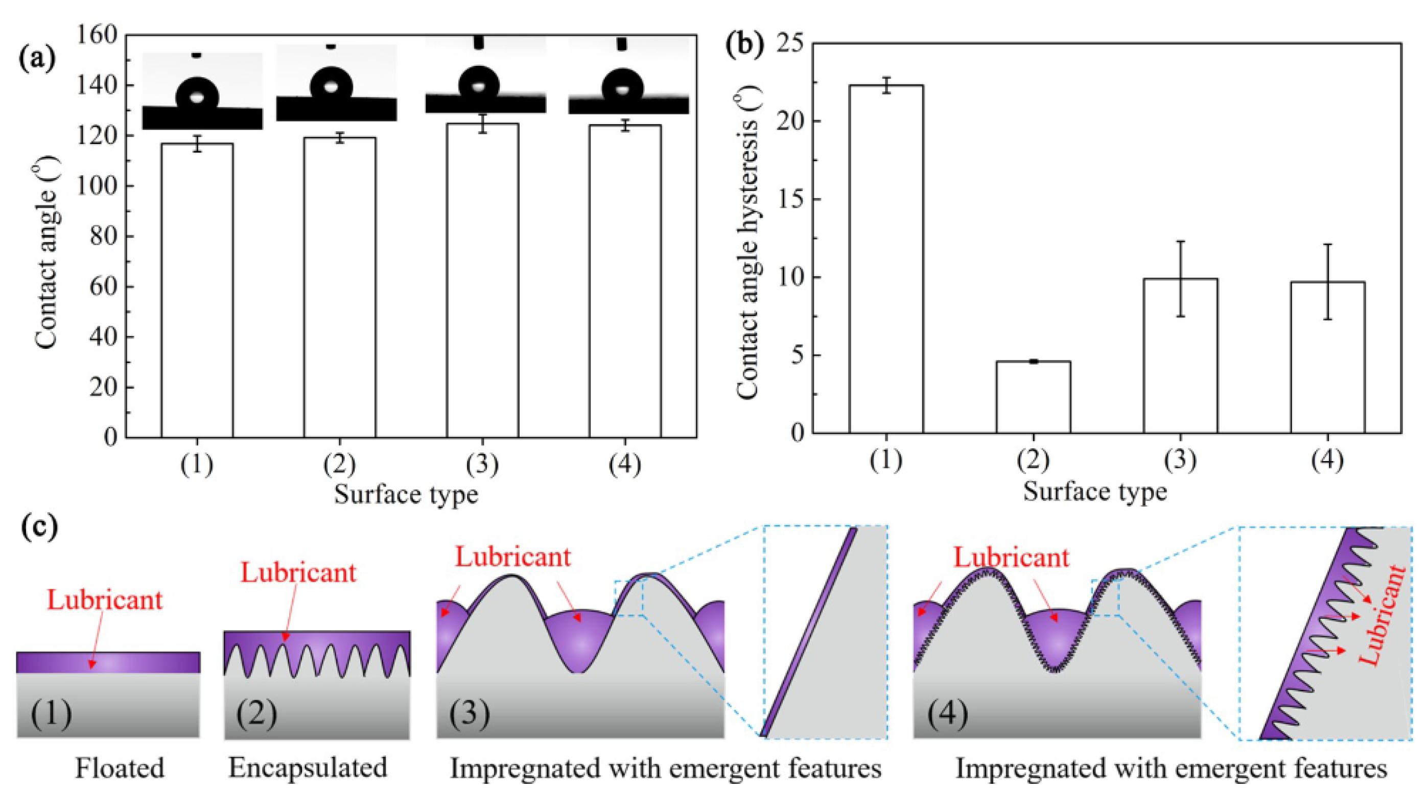 Coatings 13 01095 g007