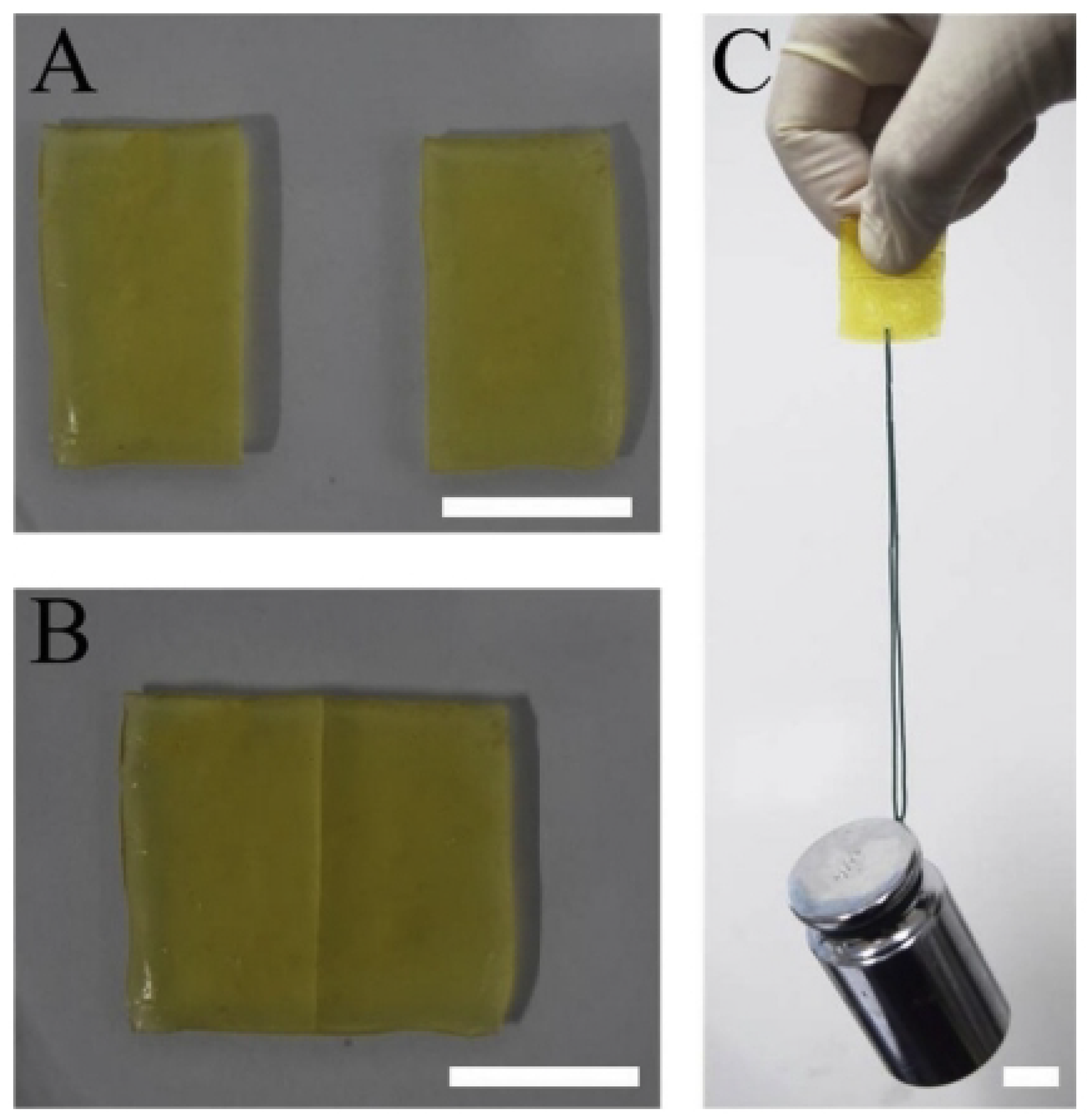 Coatings 13 01095 g018