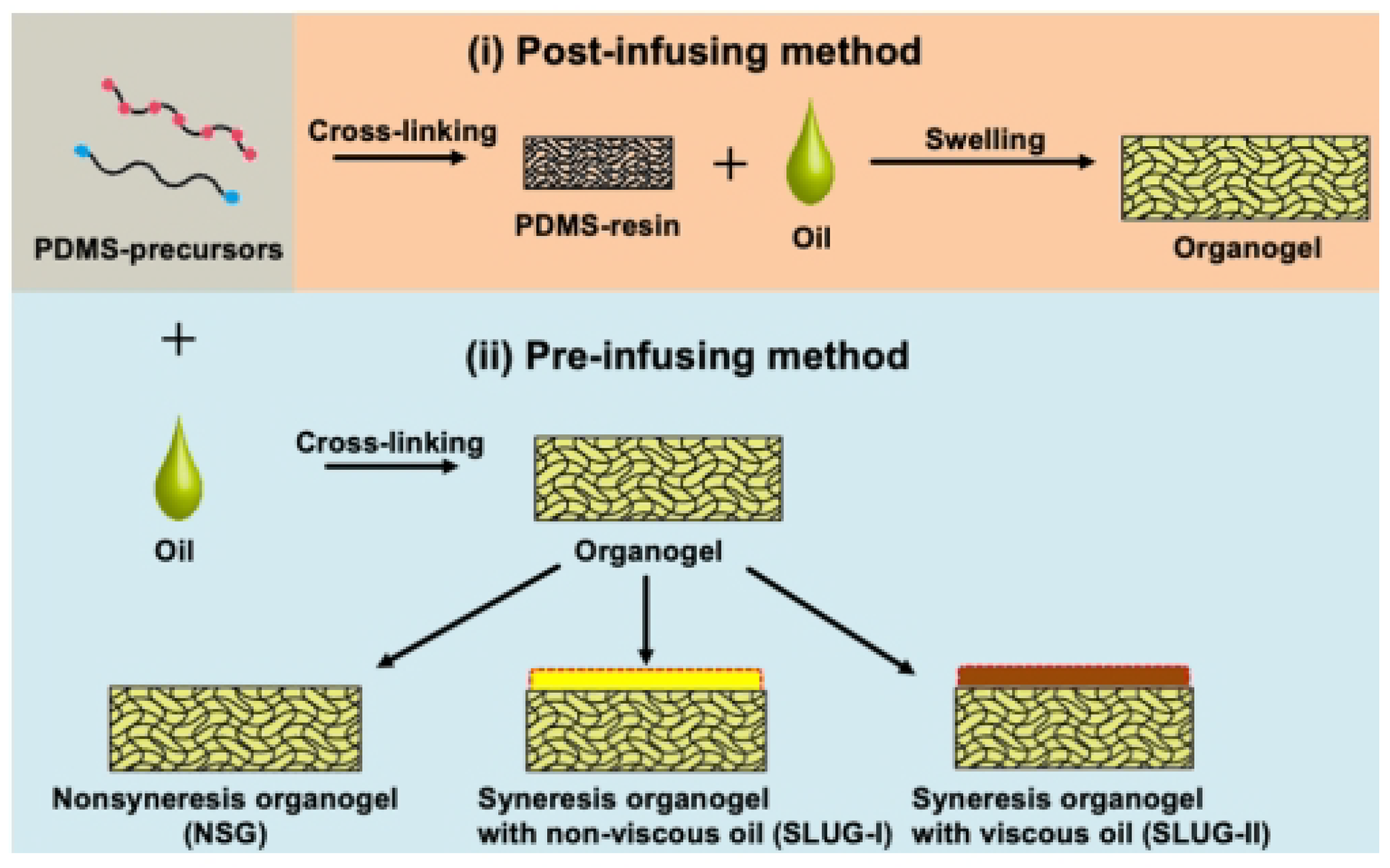 Coatings 13 01095 g019