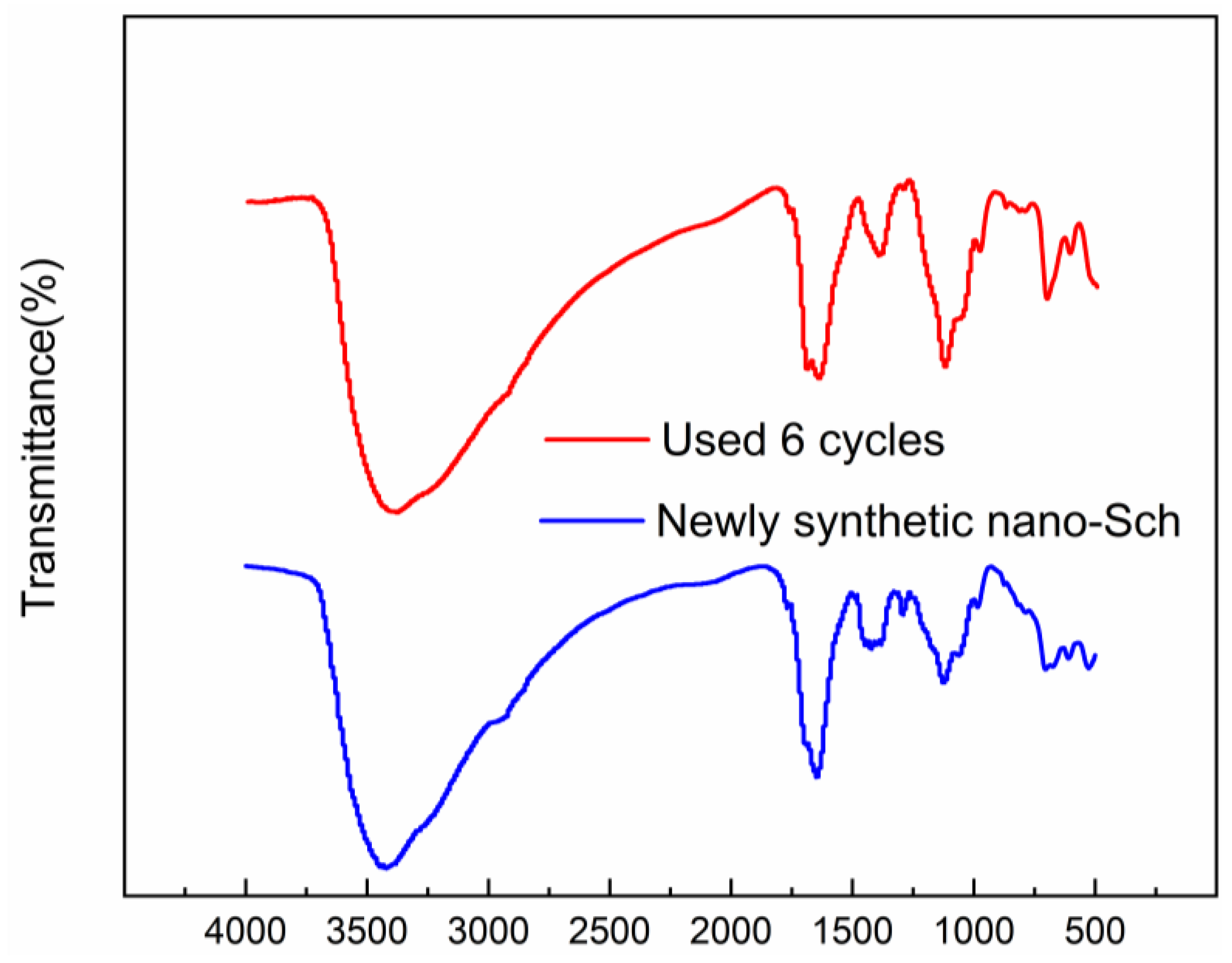 Coatings 13 01097 g006