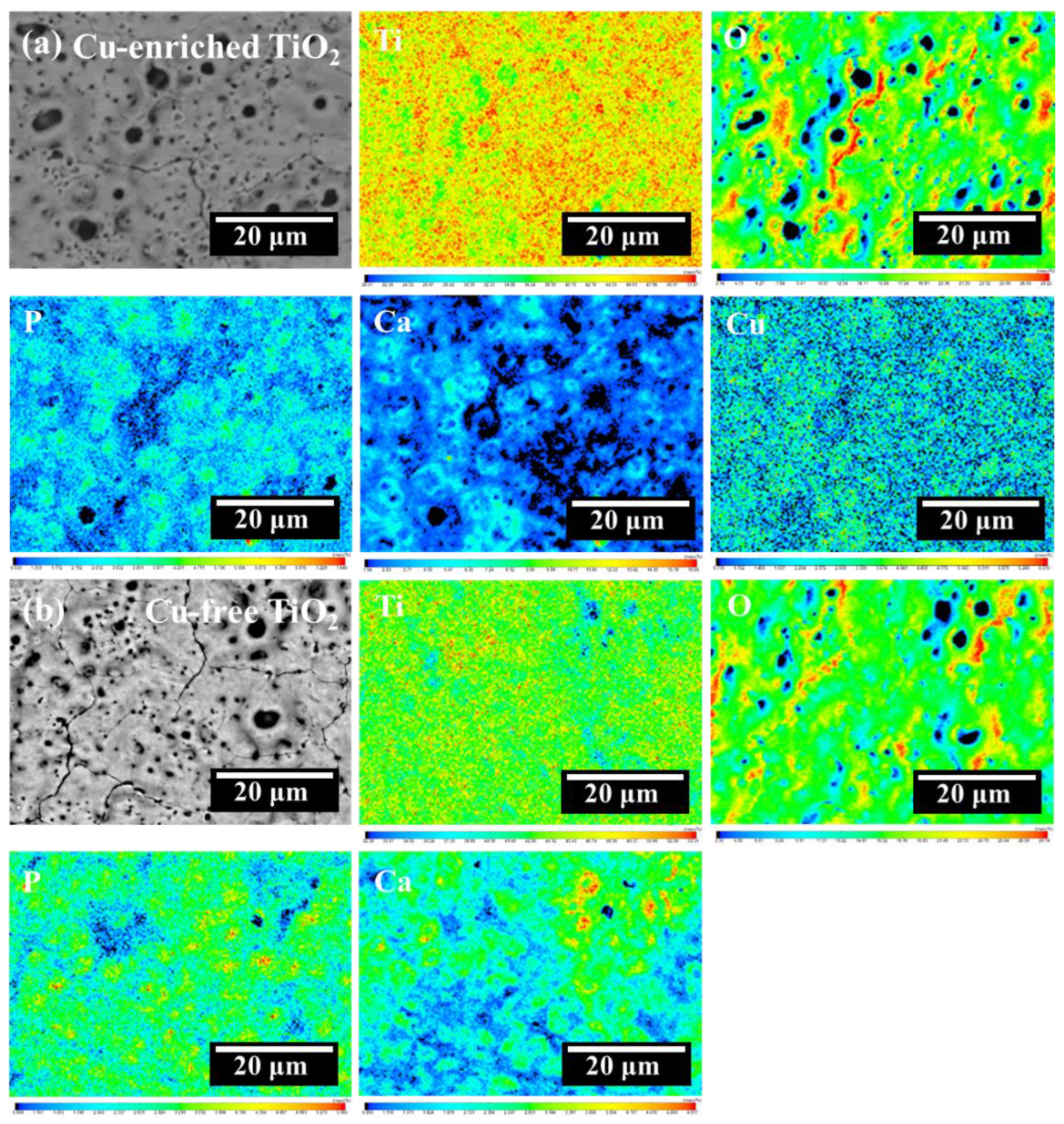 Coatings 13 01099 g003
