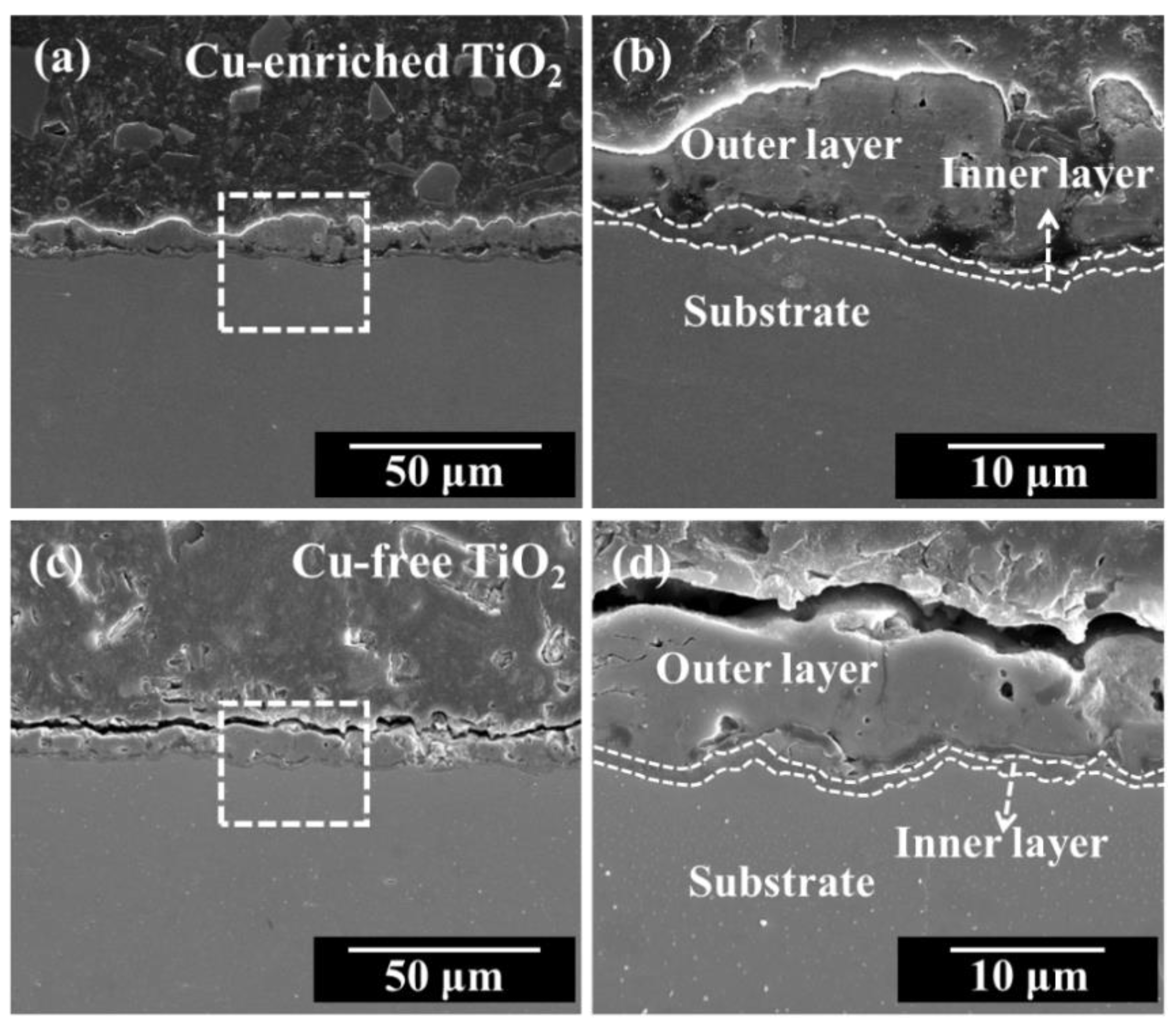 Coatings 13 01099 g004