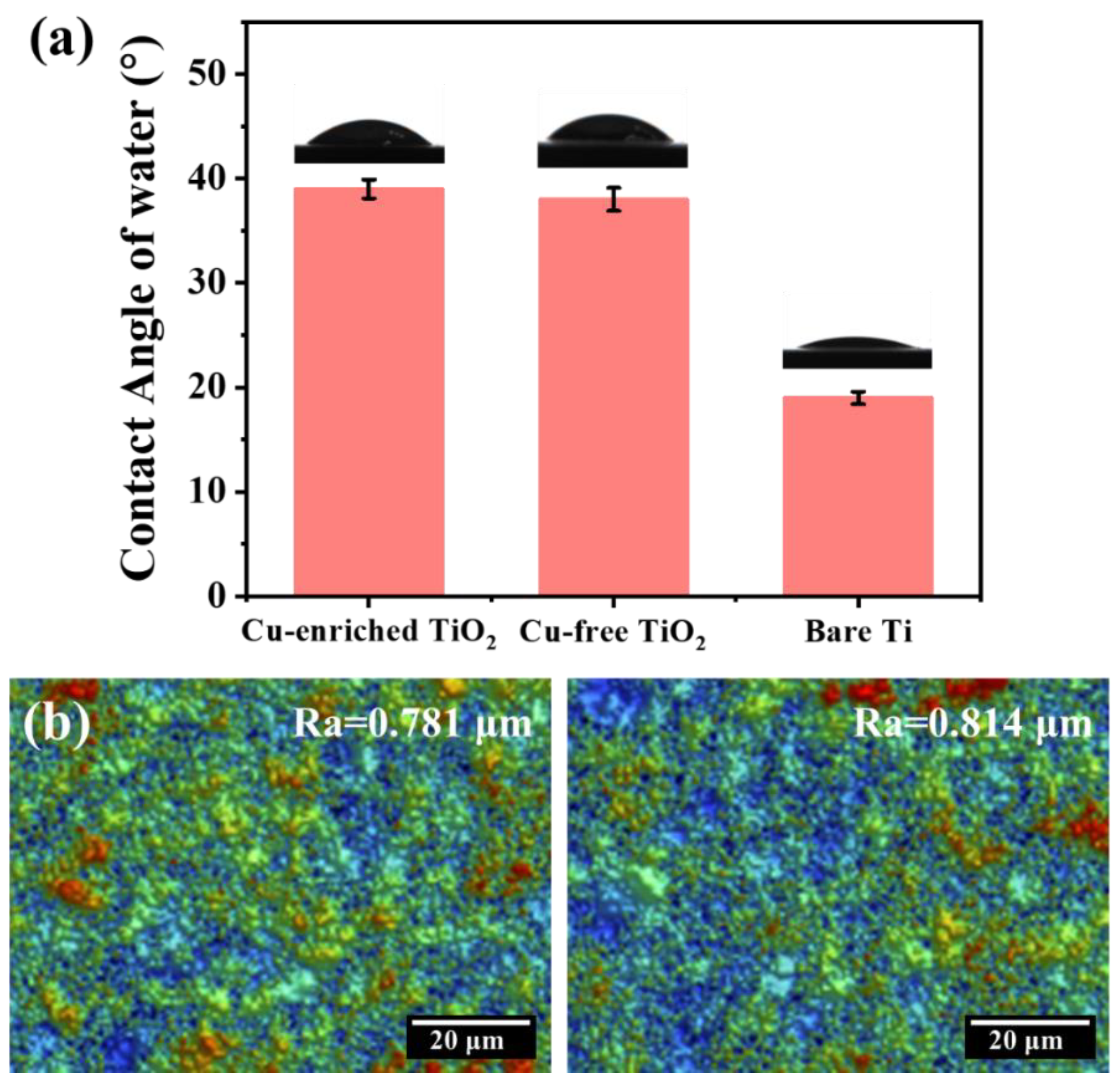 Coatings 13 01099 g007