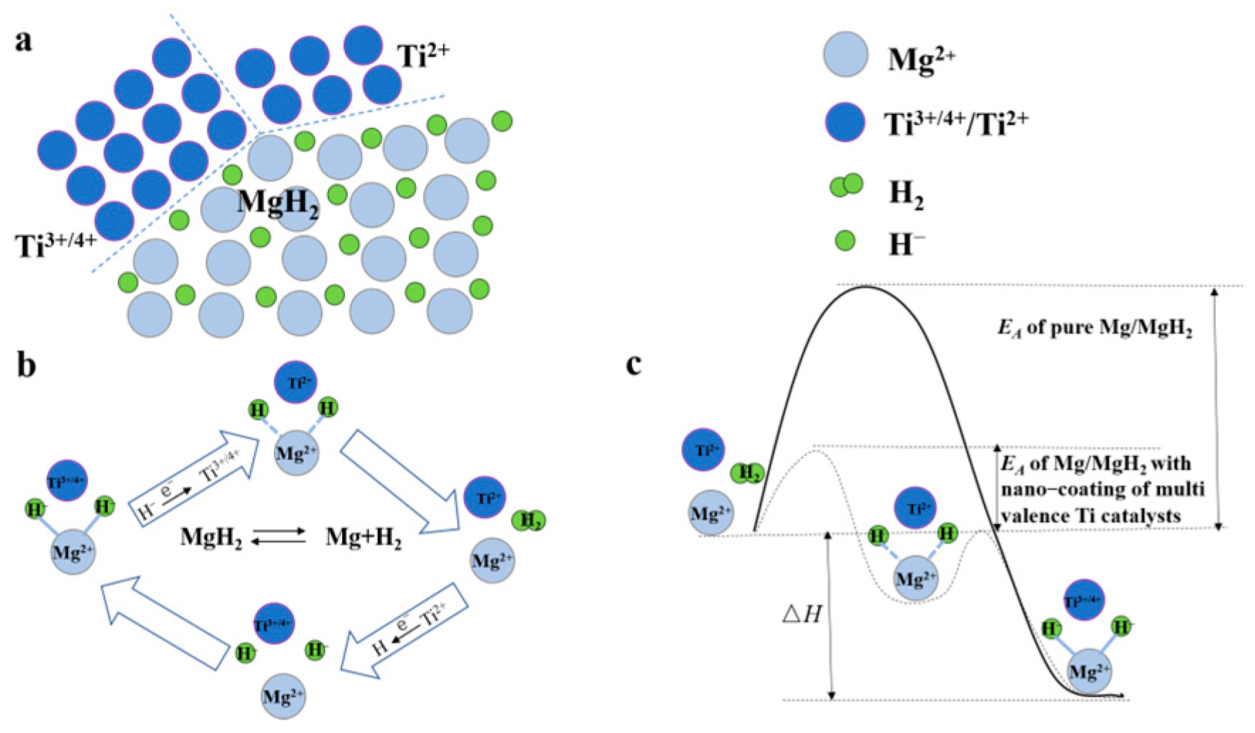 Coatings 13 01100 g007