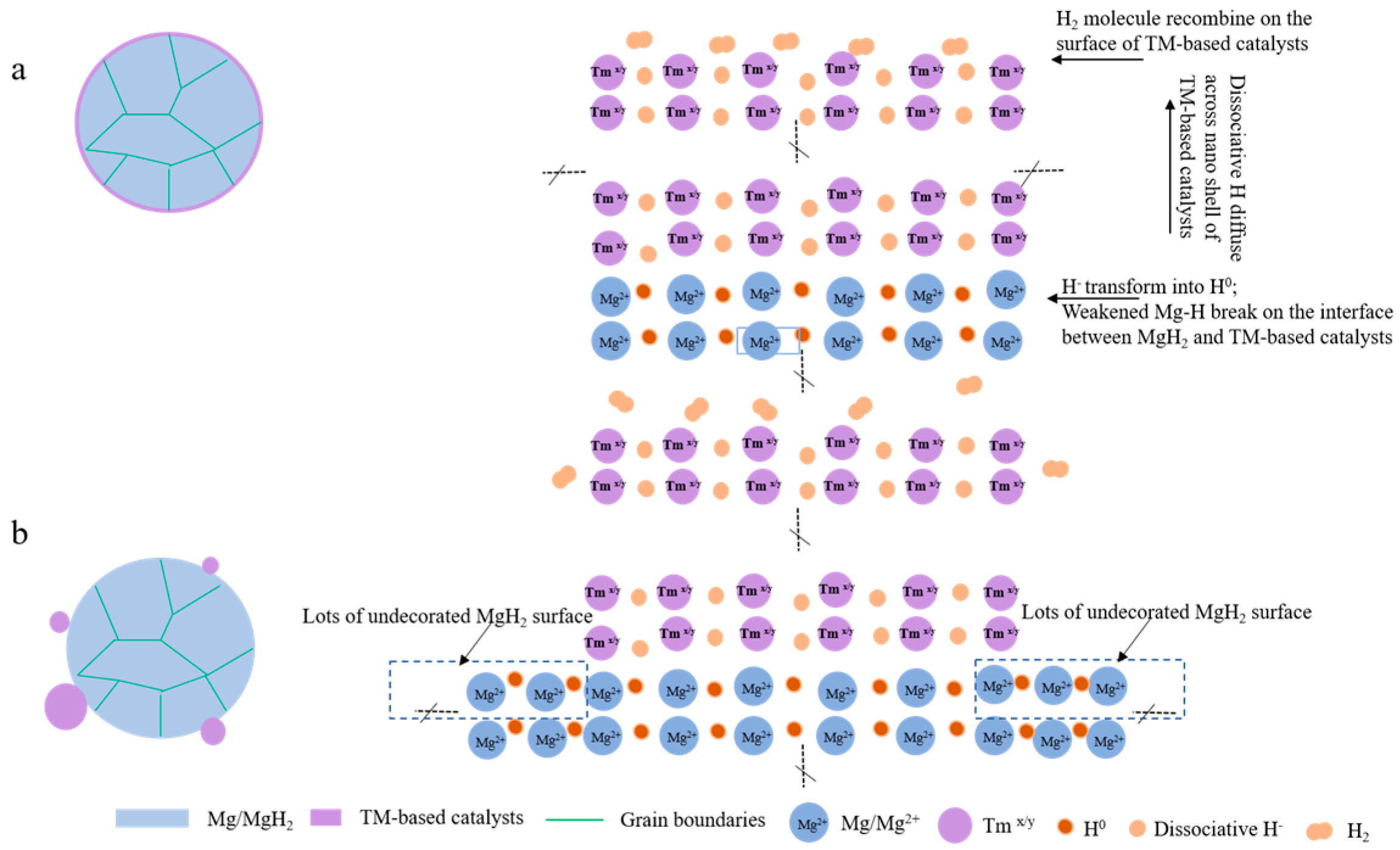 Coatings 13 01100 g008