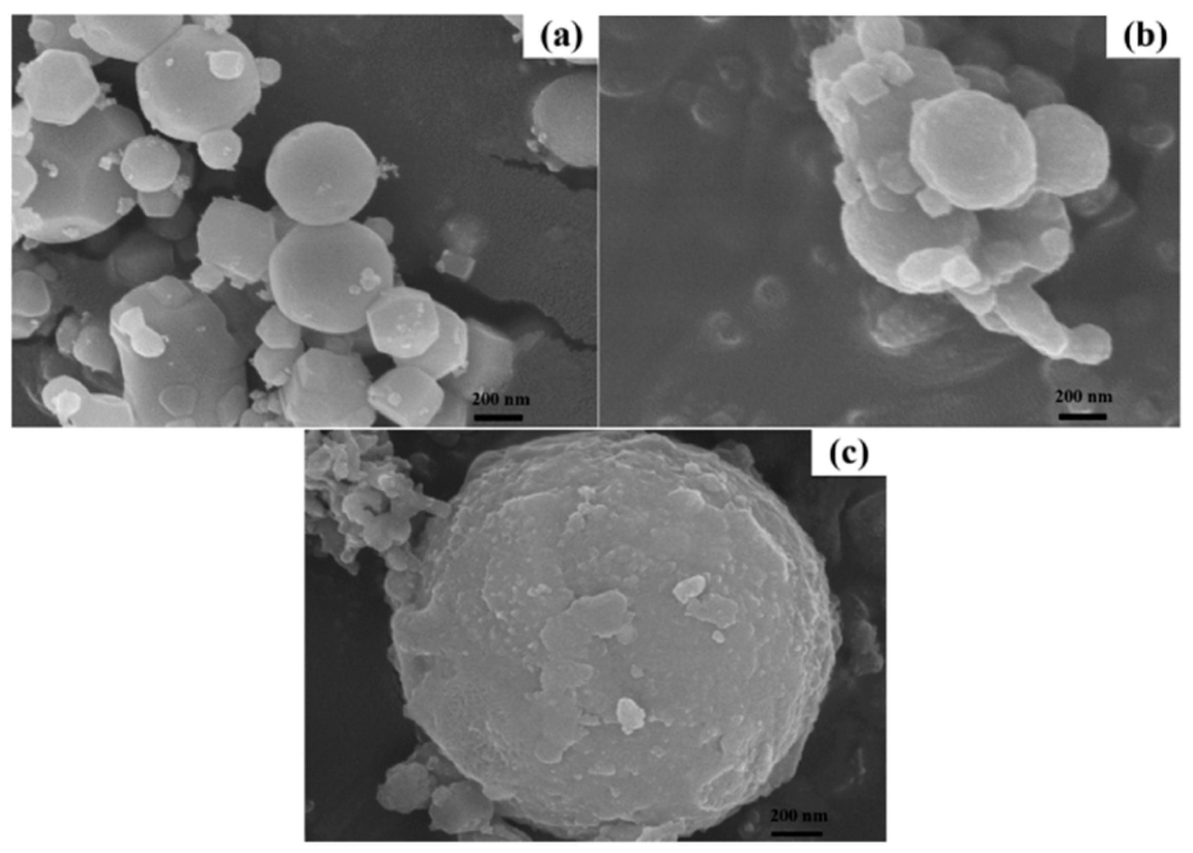 Coatings 13 01100 g012