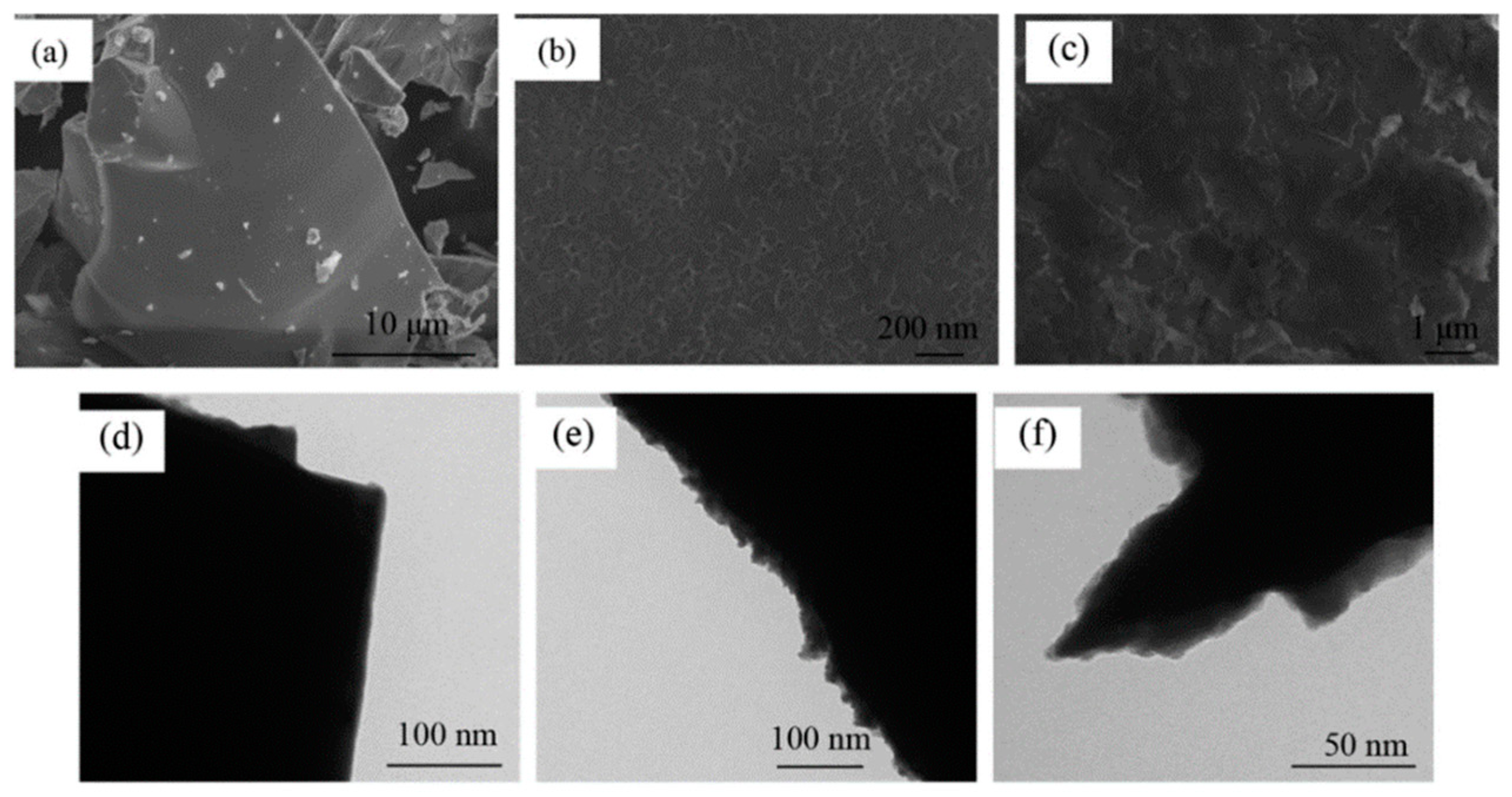 Coatings 13 01100 g018