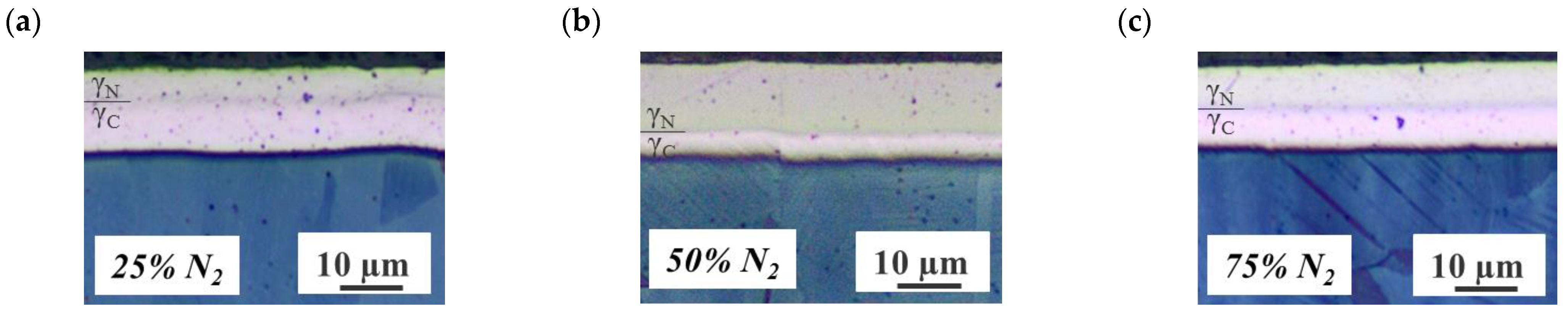 Coatings 13 01103 g005a Coatings 13 01103 g005a