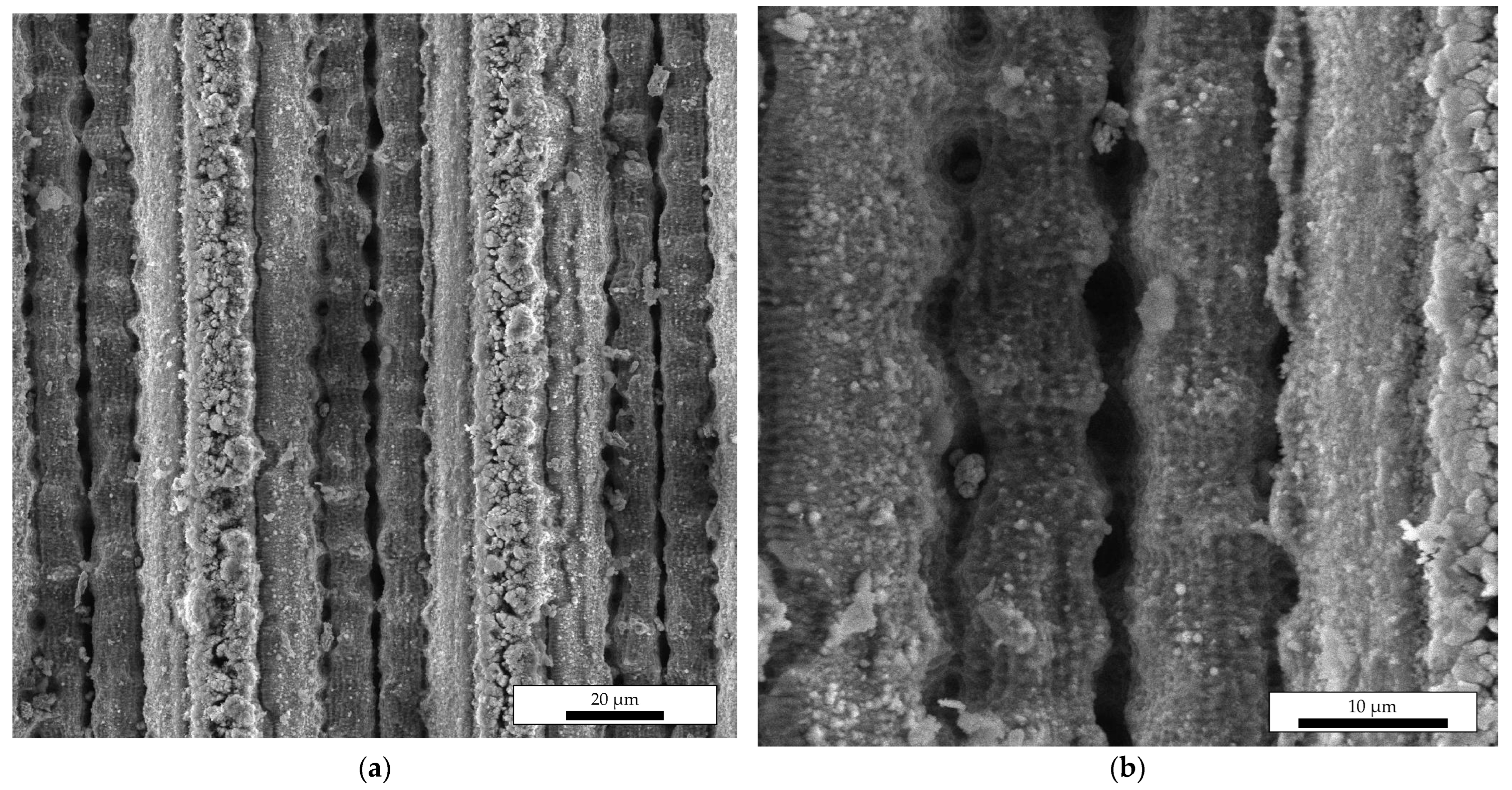 Coatings 13 01104 g004